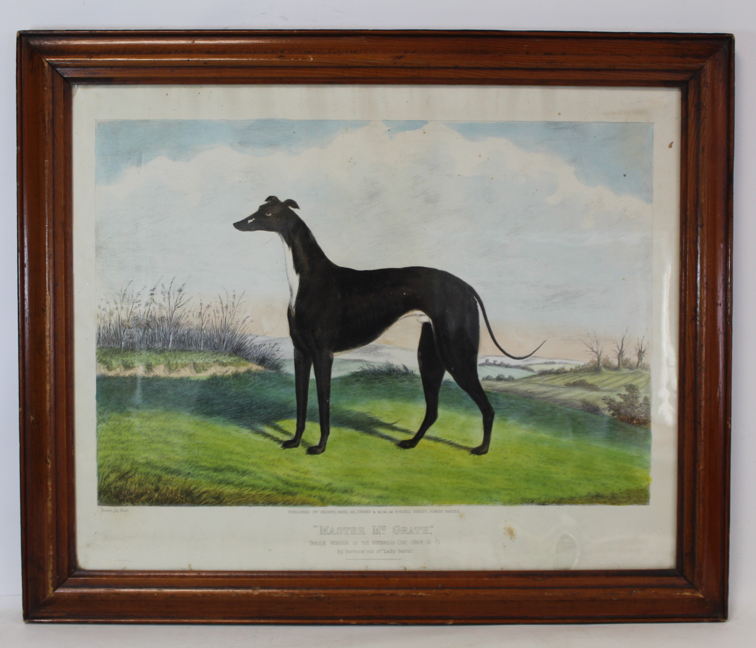 19th century chromolithograph of the greyhound "Master Mc.Grath, thrice winner of the Waterloo Cup - Image 2 of 2