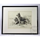 Herbert Dicksee (1862-1942), Etching, Alsatians,