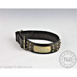 An early - mid 20th century leather and brass dog collar, with name plate for 'Morris,