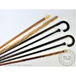 A collection of seven walking sticks,