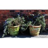 A pair of terracotta garden planters, moulded with swags, plated with thyme plants,