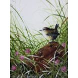 Steven Townsend (b1955), Watercolour, Wren among grass, Signed, 20cm x 15cm,