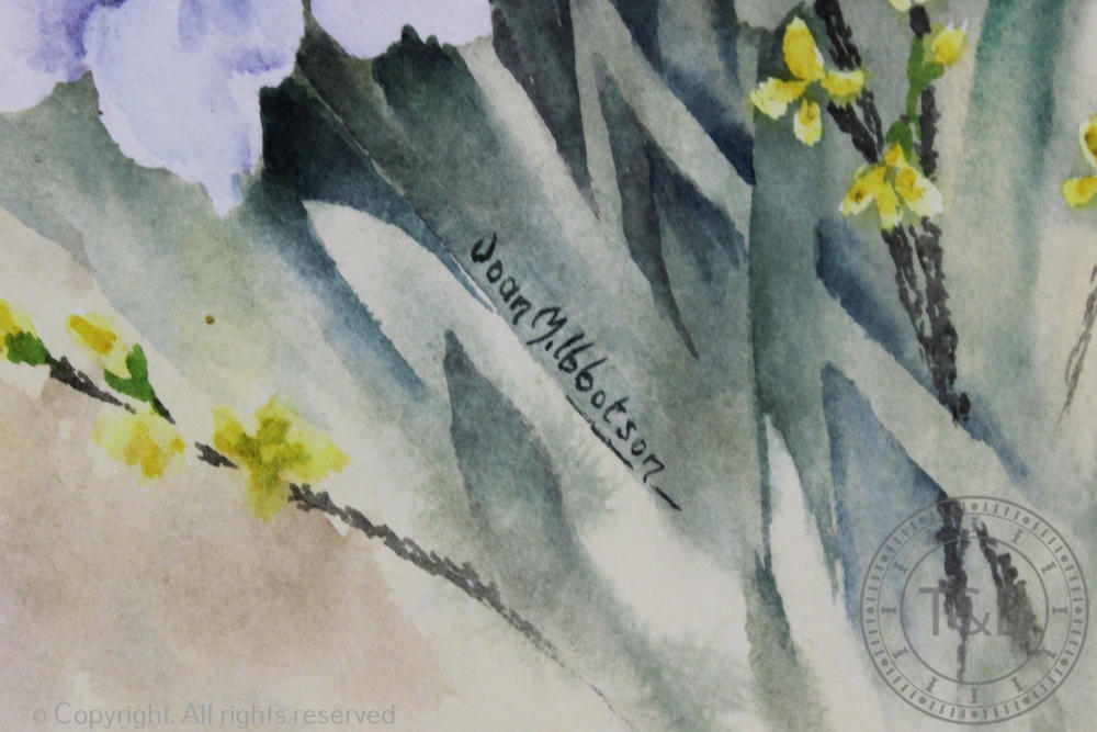 Joan Ibbotson, Pair botanical of watercolours, Studies of daffodils, Camellia and freesia, - Image 4 of 4