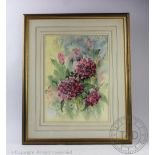 Joan Ibbotson, Pair botanical of watercolours, Studies of hydrangea and poppies, Signed,