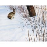 Steven Townsend (b1955), Watercolour, Hare in a winter setting, Signed, 23cm x 30cm,