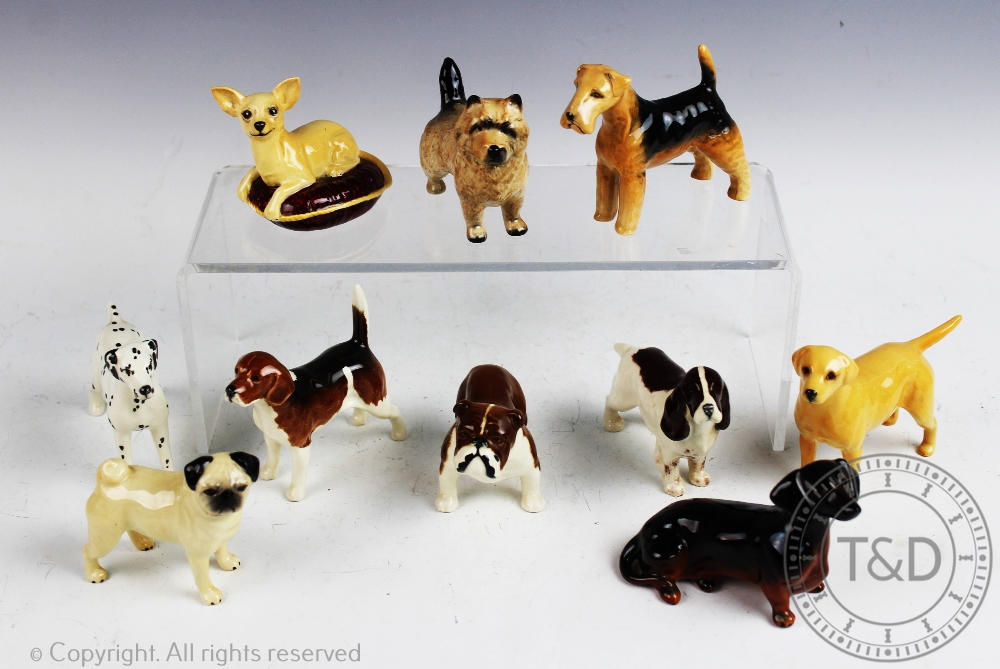 A selection of ten Beswick dogs to include a Chihuahua seated on a bed, a pug, yellow Labrador,