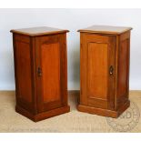 A pair of Edwardian walnut bedside cupboards, with panelled doors, on plinth bases,