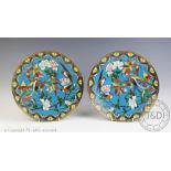 A pair of early 20th century Japanese cloisonne chargers, decorated with birds and flowers,