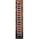 A vintage painted ladder,