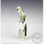 A German porcelain budgerigar, Passau Bavaria, early 20th century,