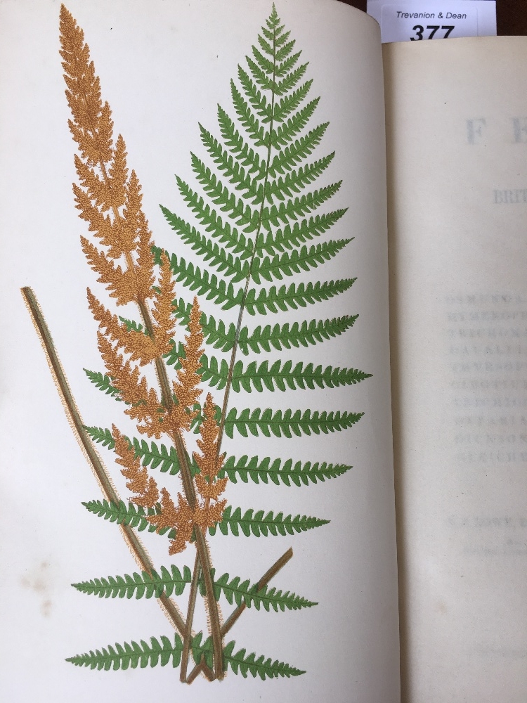 LOWE (E), FERNS BRITISH AND EXOTIC, eight vols, with 479 colour plates, a-e-g, - Image 7 of 25