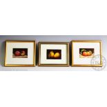 Rosemary Bentley RMS HS (Modern British) Oil Miniatures of fruit, 'Nectarines',