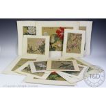 Chinese School (20th century), Seven watercolours on silk, Each depicting floral and fauna,