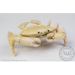 A Japanese ivory crab, Meiji period, realistically modelled, one leg detached but present,
