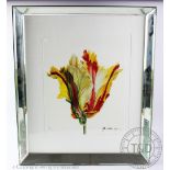 John Matthew Moore (American), Colour print, Study of a tulip, Signed and numbered 71/295,