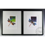 Roger Dean, Set of four limited edition prints, Yes Dragon Fly No's I-IV - no.