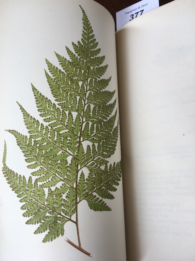 LOWE (E), FERNS BRITISH AND EXOTIC, eight vols, with 479 colour plates, a-e-g, - Image 9 of 25