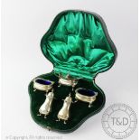 An Edwardian silver cased five piece condiment set, Walker & Hall, Sheffield 1901,