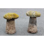 Four 19th century sandstone staddle stones and caps, tallest 70cm high,