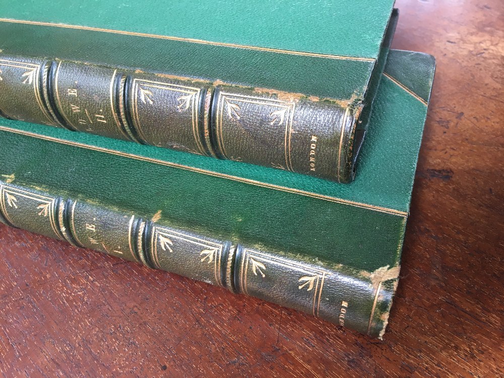 LOWE (E), FERNS BRITISH AND EXOTIC, eight vols, with 479 colour plates, a-e-g, - Image 2 of 25