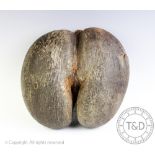 A coco de mer nut (at fault) 27cm L x 26cm W CONDITION REPORT: There is a split