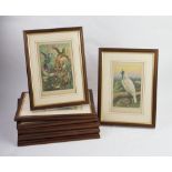 A collection of nine mounted colour book plates,