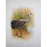 SCOTT (PETER), WILD CHORUS, signed limited first edition re-print,