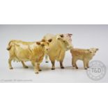 A Beswick Charolais cattle family, comprising a bull, a cow and a calf, the bull and cow with