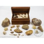 A collection of geological samples, including examples in a hardwood box with a compartmented