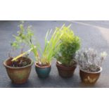 Four assorted garden planters, to include a terracotta pot of tapering form,32cm H, a glazed