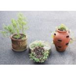 Four assorted garden planters, to include a sandstone mill stone, 40cm D, a vase shaped terracotta