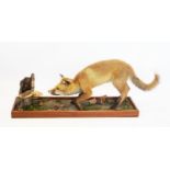 A taxidermy fox and mouse, the fox modelled in a stalking position eyeing a mouse upon a tree trunk,