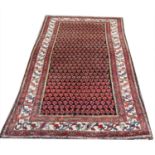 An old Caucasian village rug with a sarouk mir design, with all-over acorn design, 240cm x 136cm