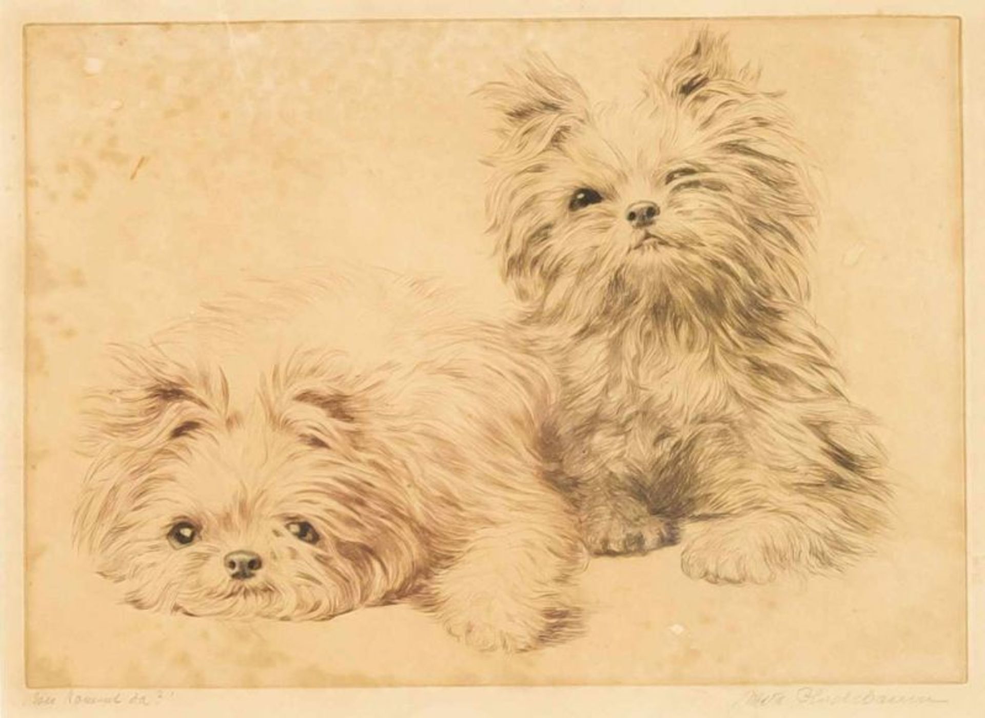 Meta Plückebaum. 1876 - 1945. German School. Two dogs. Title: Wer kommt da ?. Etching on paper.