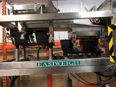 EASIWEIGH ULTRA LINEAR WEIGHER SYSTEM WITH INFEED CONVEYOR