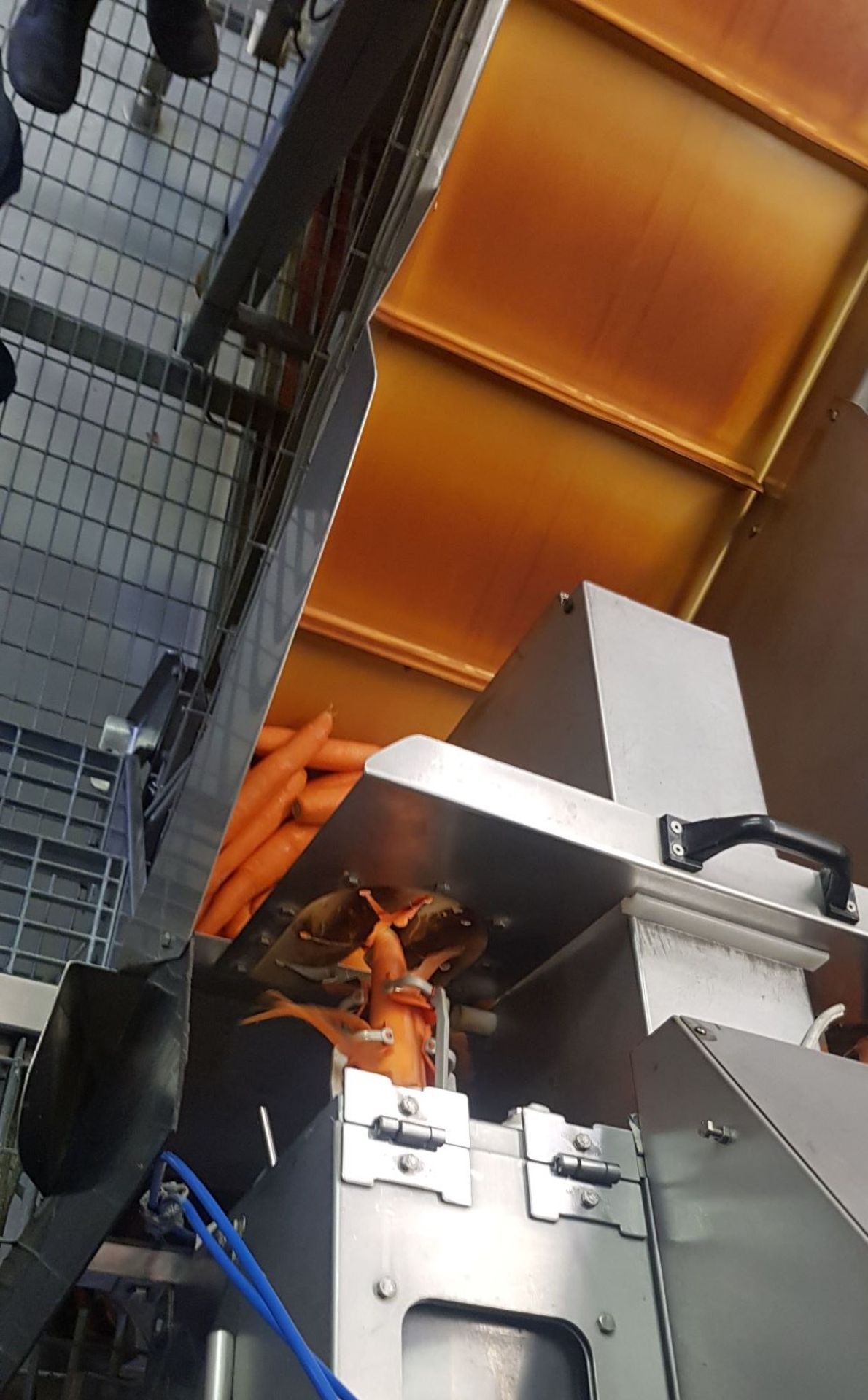 COMPLETE CARROT PEELING, WASHING AND PACKING SYSTEM - Image 6 of 12