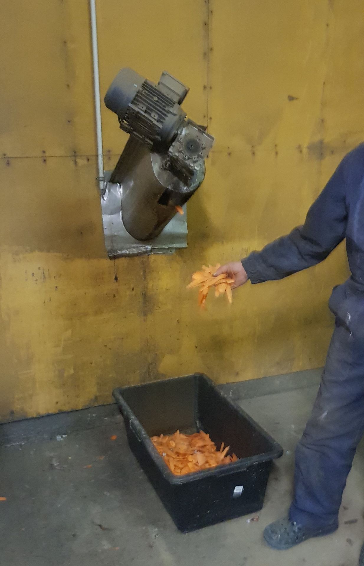 COMPLETE CARROT PEELING, WASHING AND PACKING SYSTEM - Image 11 of 12