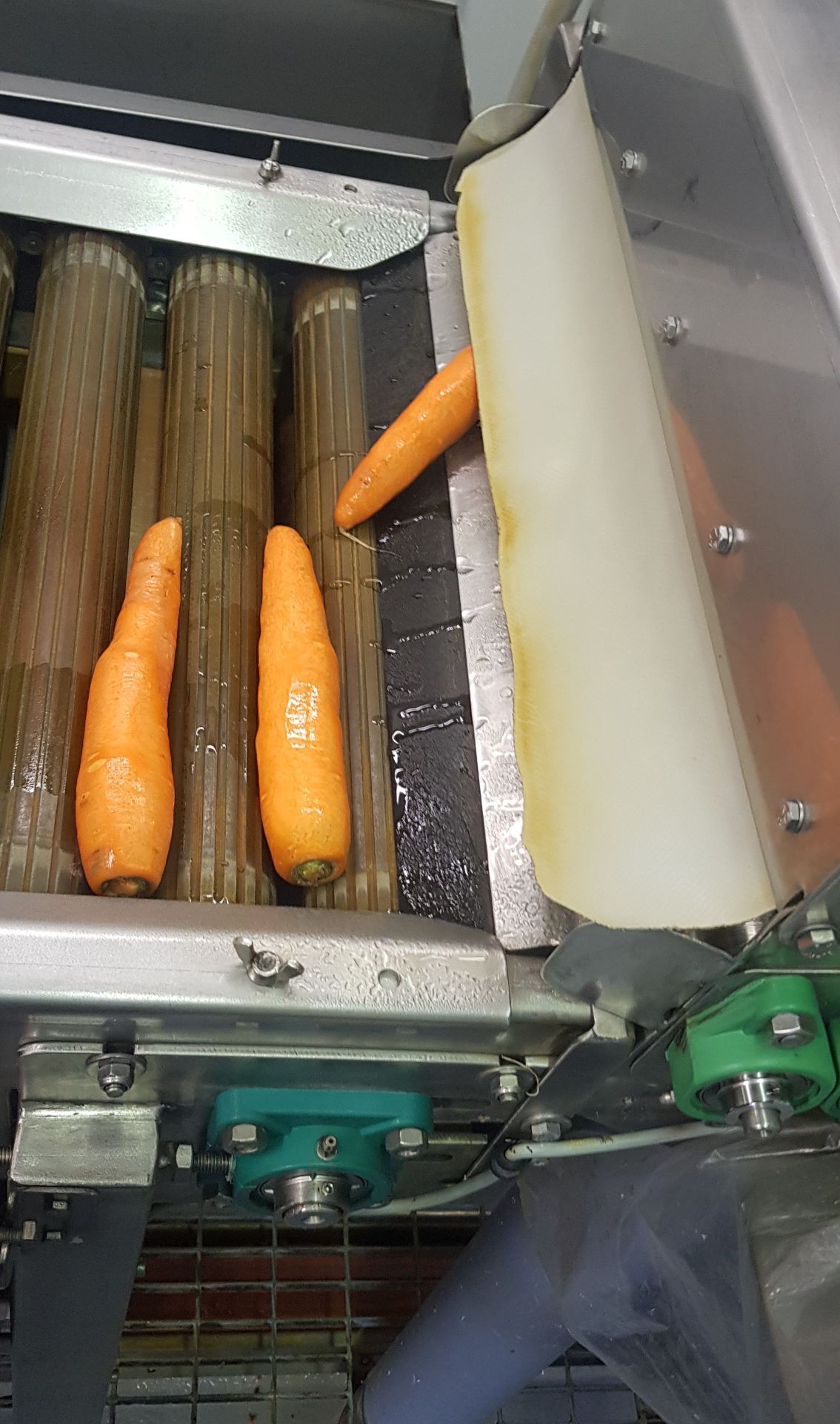 COMPLETE CARROT PEELING, WASHING AND PACKING SYSTEM - Image 7 of 12