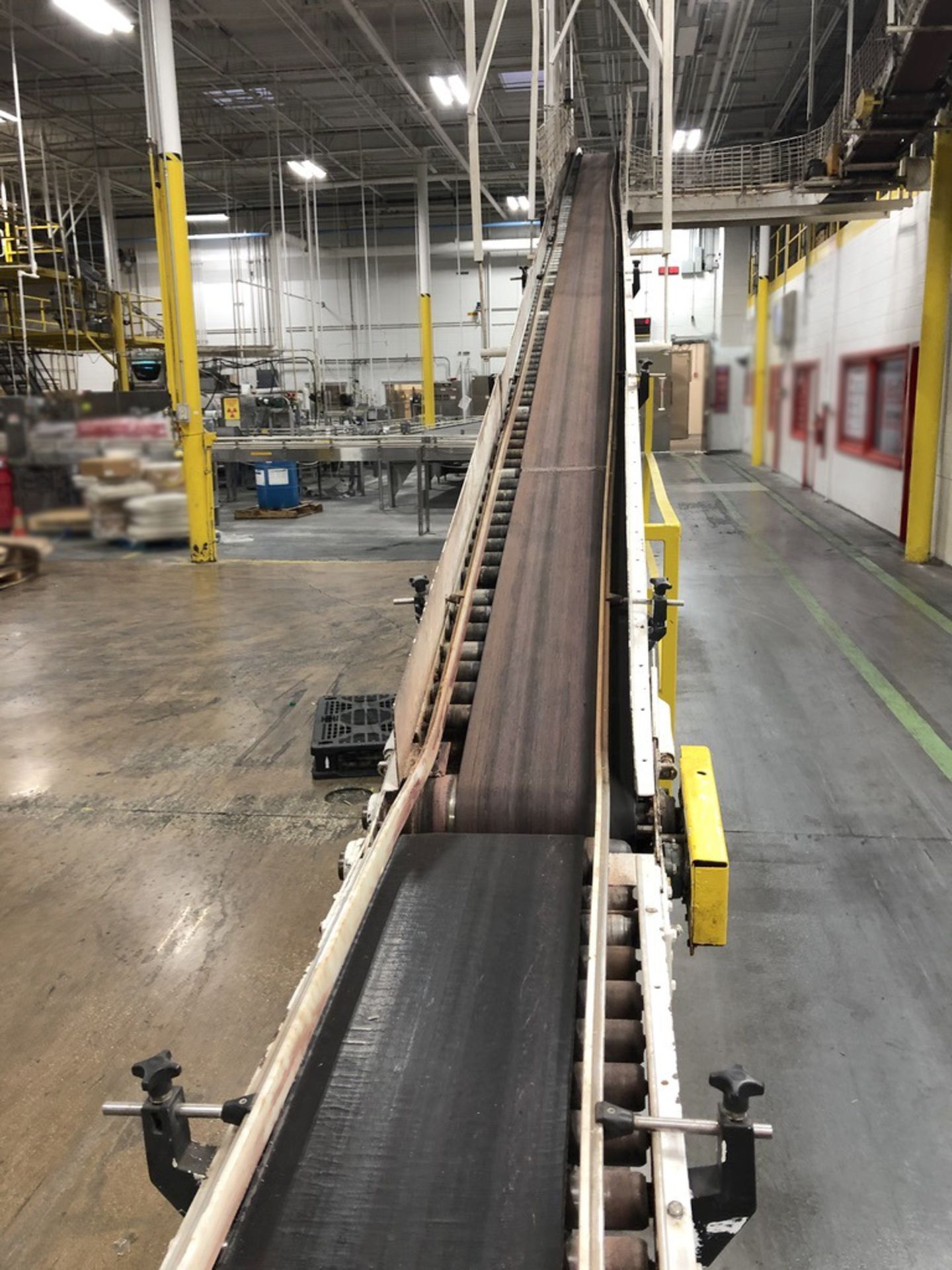 Case Conveyor