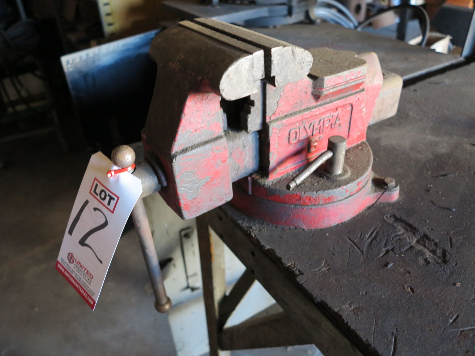 OLYMPIA 6" BENCH VISE