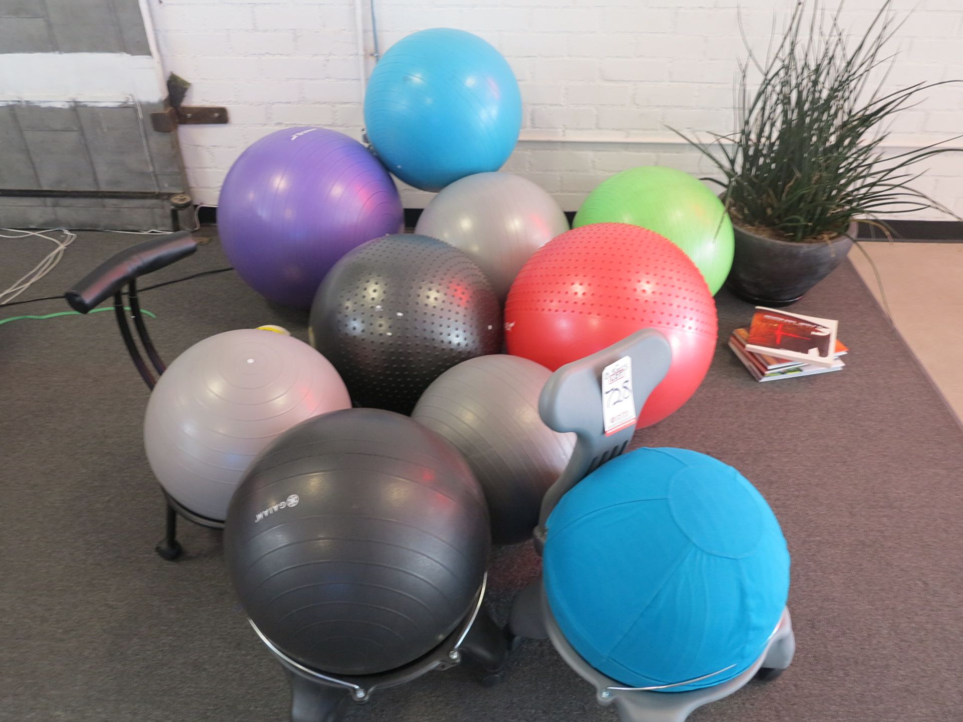 LOT (APPROX. 10) EXERCISE BALLS