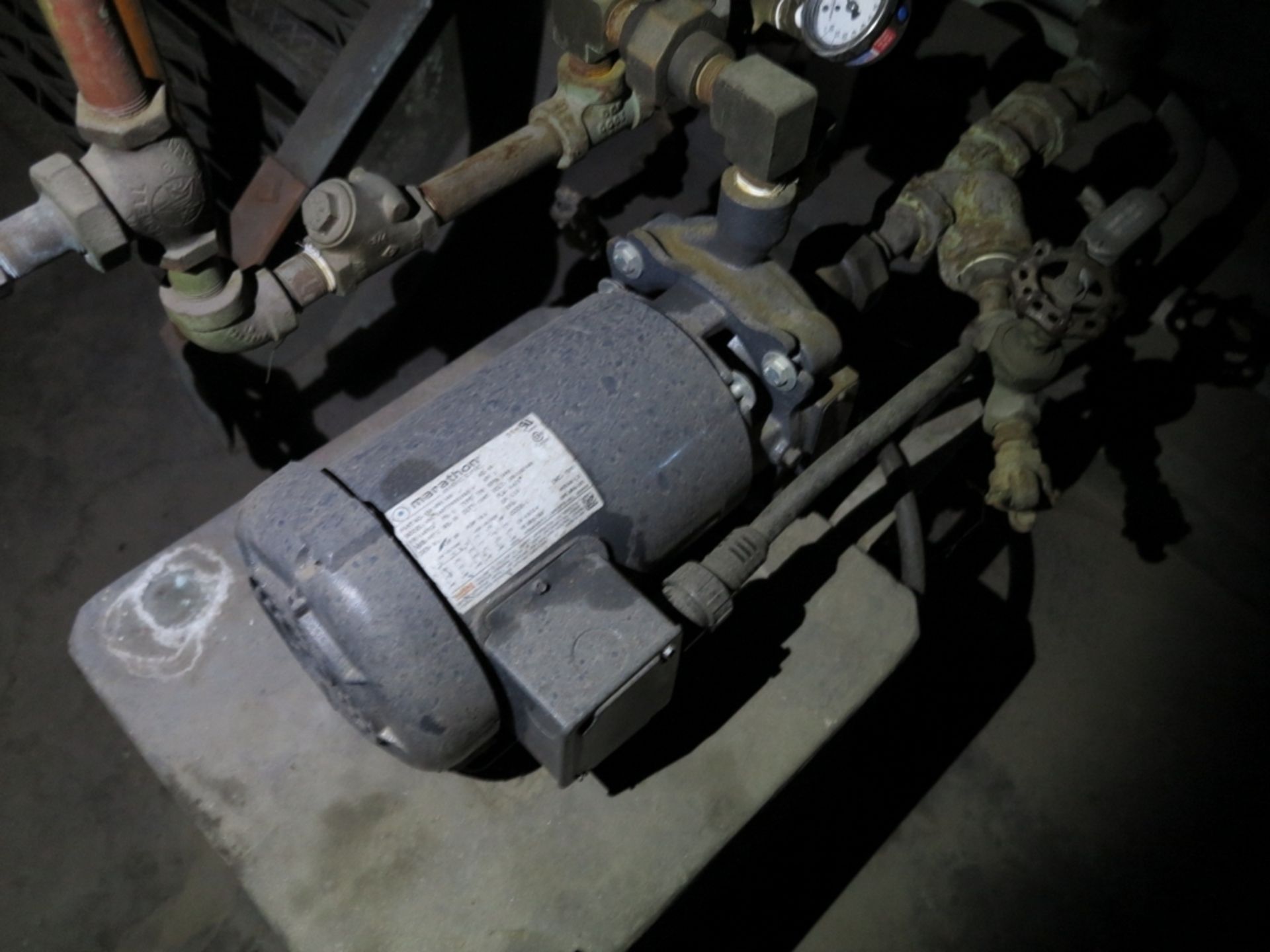 LOT - (2) CHEMICAL PUMPS - Image 3 of 3