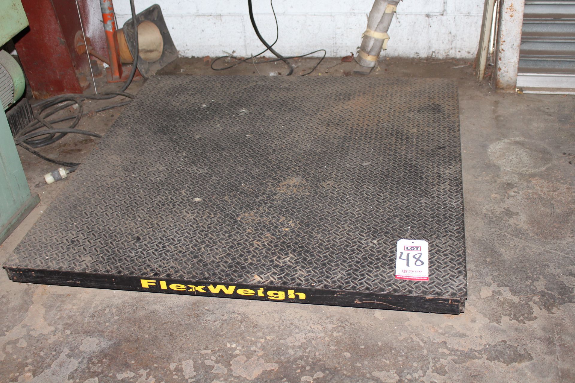 FLEXWEIGH PALLET SCALE, 4' X 4', W/ SALTER 200E DRO