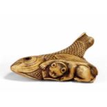 NETSUKE: KATZE AN GROßEM FISCH KNABBERND. Japan. 19. Jh. Bein, vermutlich Hirschhorn, Augen