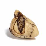 NETSUKE: VOGEL AUS EINEM EI SCHLÜPFEND. Japan. 19. Jh. Bein, Augen eingelegt aus dunklem Horn.