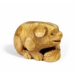 NETSUKE: WELPE MIT AWABI-MUSCHEL. Japan. 19. Jh. Elfenbein, Augen eingelegt aus dunklem Horn. Höhe