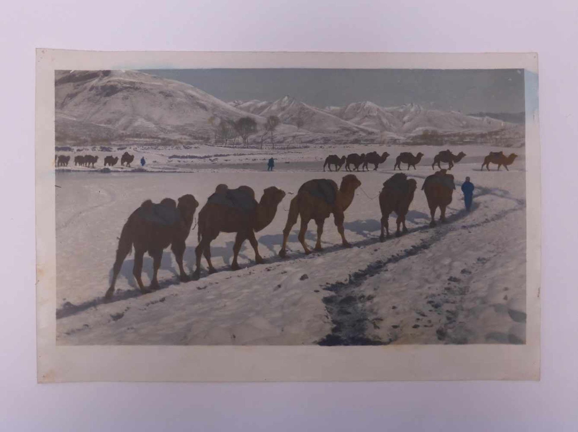 SIEBZEHN HISTORISCHE FOTOS DER VERBOTENEN STADT UND VOM SOMMERPALAST. China. Datiert 1938 auf dem - Bild 16 aus 19