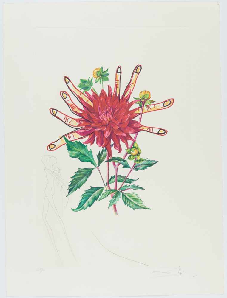 Dalí, SalvadorFigueras/Spanien 1904 - 1989Surrealistic Flowers. 1970. Suite von 15 - Image 14 of 18