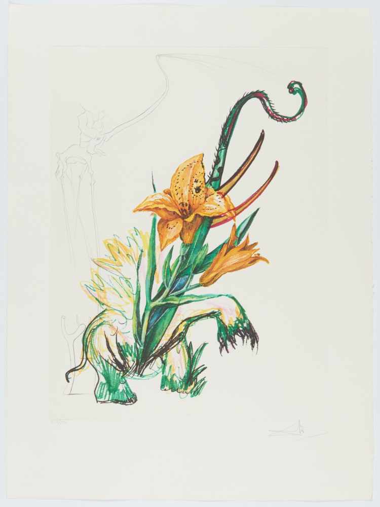 Dalí, SalvadorFigueras/Spanien 1904 - 1989Surrealistic Flowers. 1970. Suite von 15 - Image 11 of 18