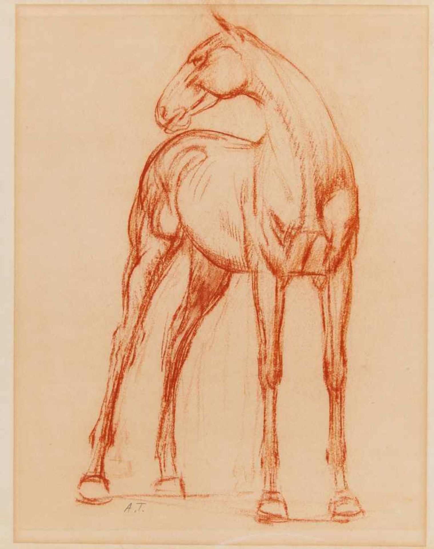 Trémont, AugusteLuxemburg 1892 - 1980Pferd. Rötel auf Velin. 37,5 x 30cm. Monogrammiert unterhalb - Bild 2 aus 3